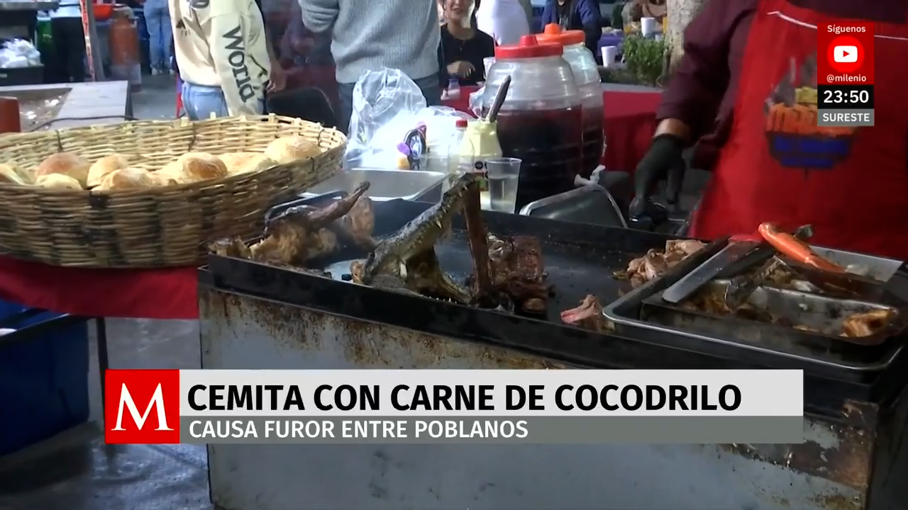 Increíble platillo en Puebla: así se ve la semita con carne de cocodrilo