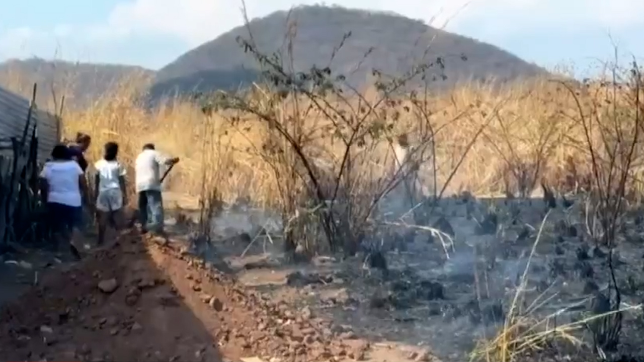 Chiapas registra 85% menos de incendios forestales en comparación del 2024