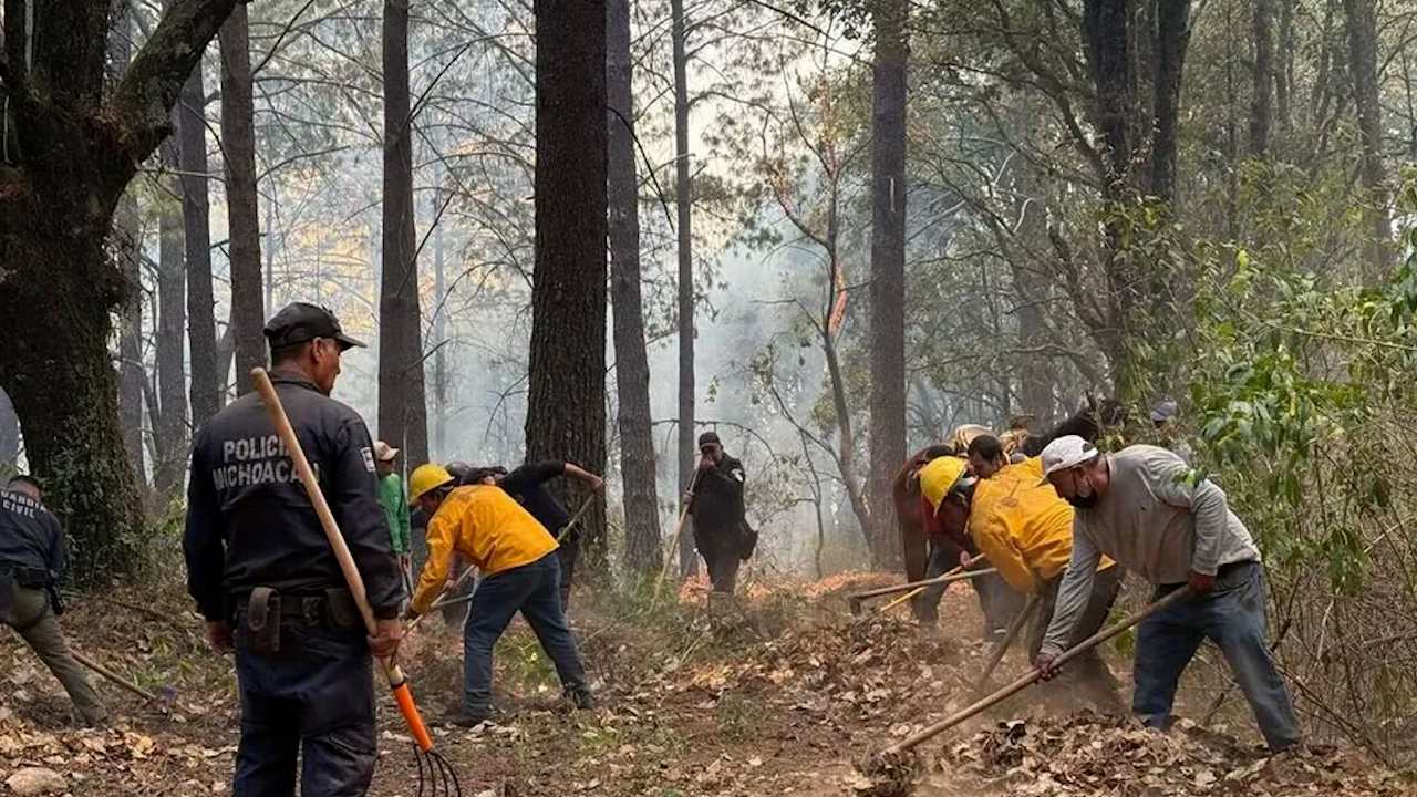 Se registra incendio en la zona de la mariposa monarca, Alejandro Méndez nos da más detalle