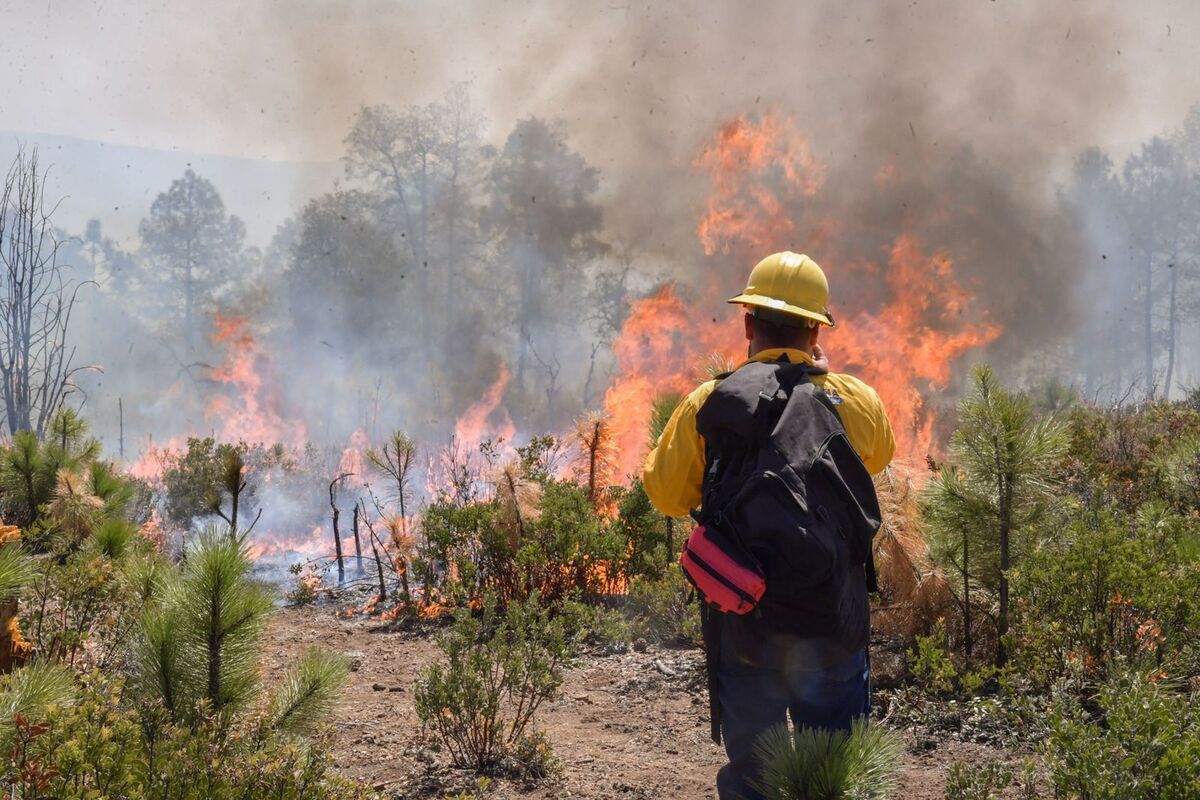 Chihuahua intensifica combates a incendios forestales