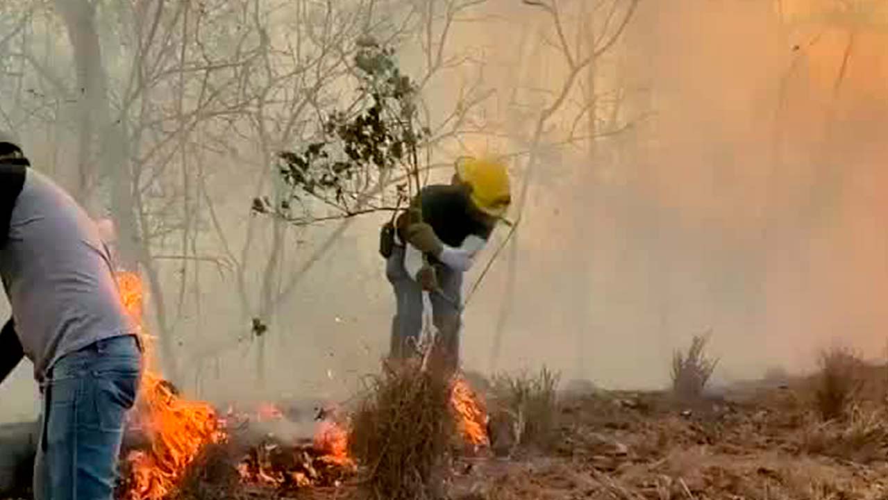 Cinco regiones de Chiapas en alto riesgo por incendios