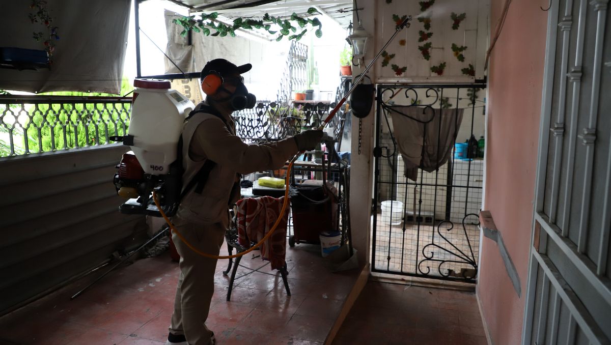 Dengue en Nuevo León | Luis Guerra