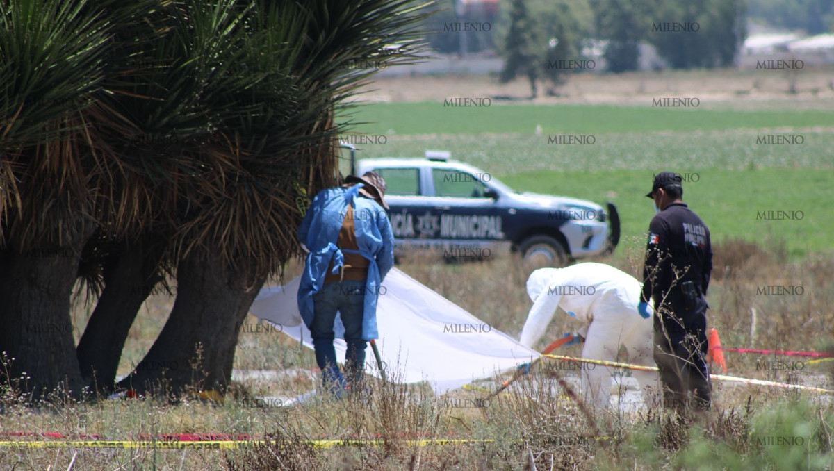 Fosa clandestina con restos humanos en Palmar de Bravo, Puebla | Especial