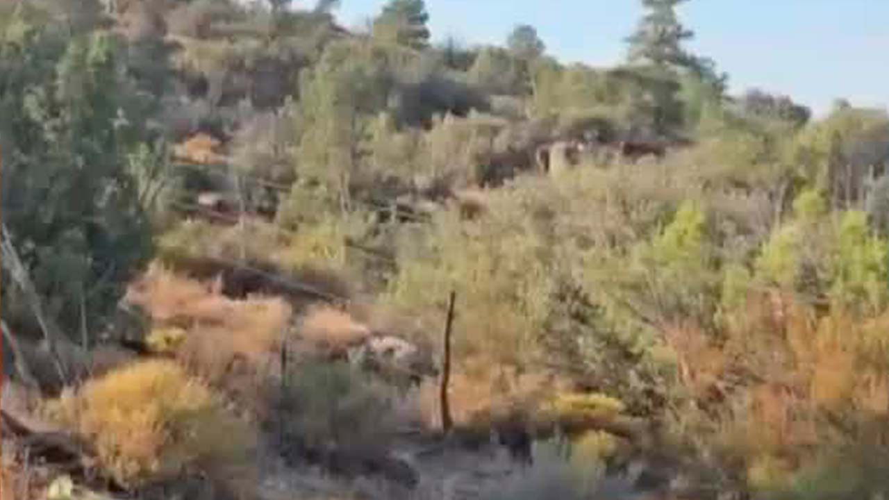 Identifican 2 de 6 cuerpos localizados en la fosa clandestina de La Rumorosa en BC