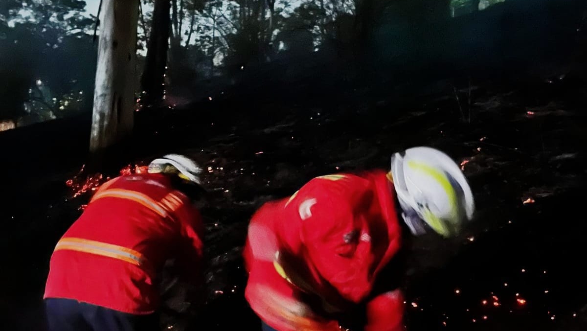 Incendio forestal consume áreas verdes del cerro de Amalucan, Puebla | Especial