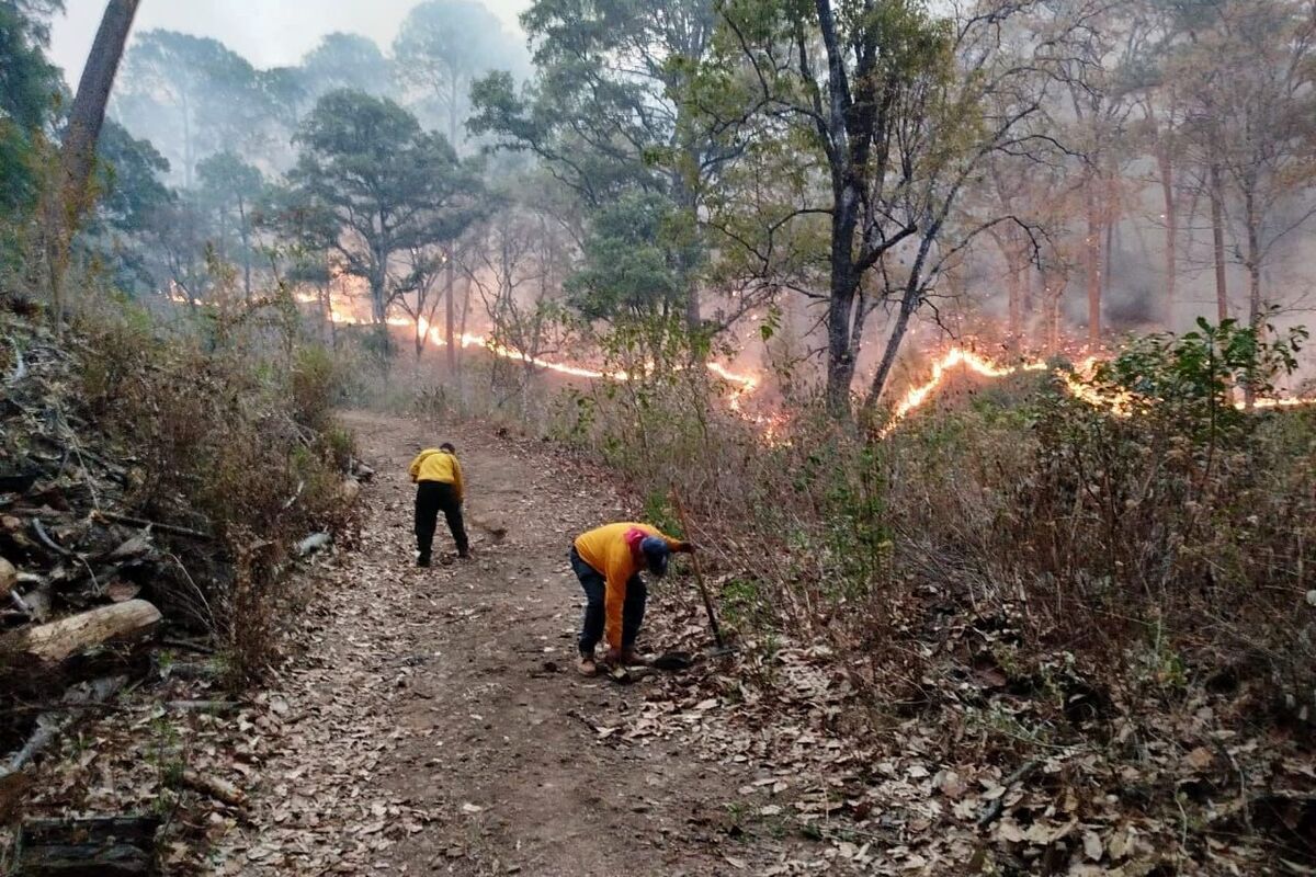 Michoacán mantiene desplegados a brigadistas para el control de incendios