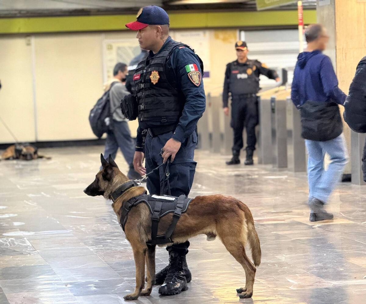 Los policías capitalinos realizan recorridos y revisiones preventivas. | Especial