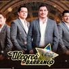 Los Alegres del Barranco 'cantan' corridos prohibidos con ayuda del público | ESPECIAL