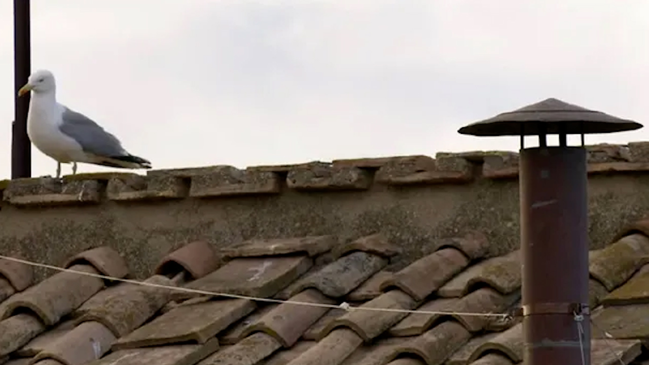 Católicos esperan la primera fumata del cónclave en la plaza de San Pedro