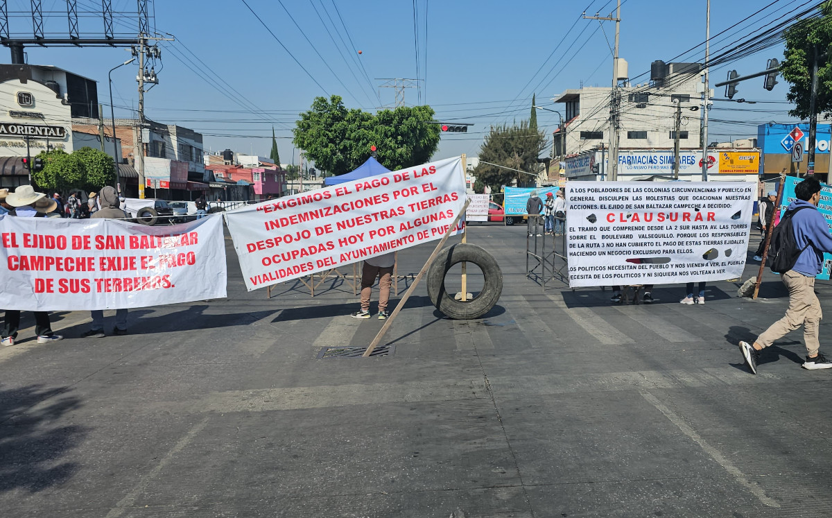 Manifestación en Las Torres y Valsequillo | Daniel Hernández