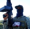 Armas CJNG