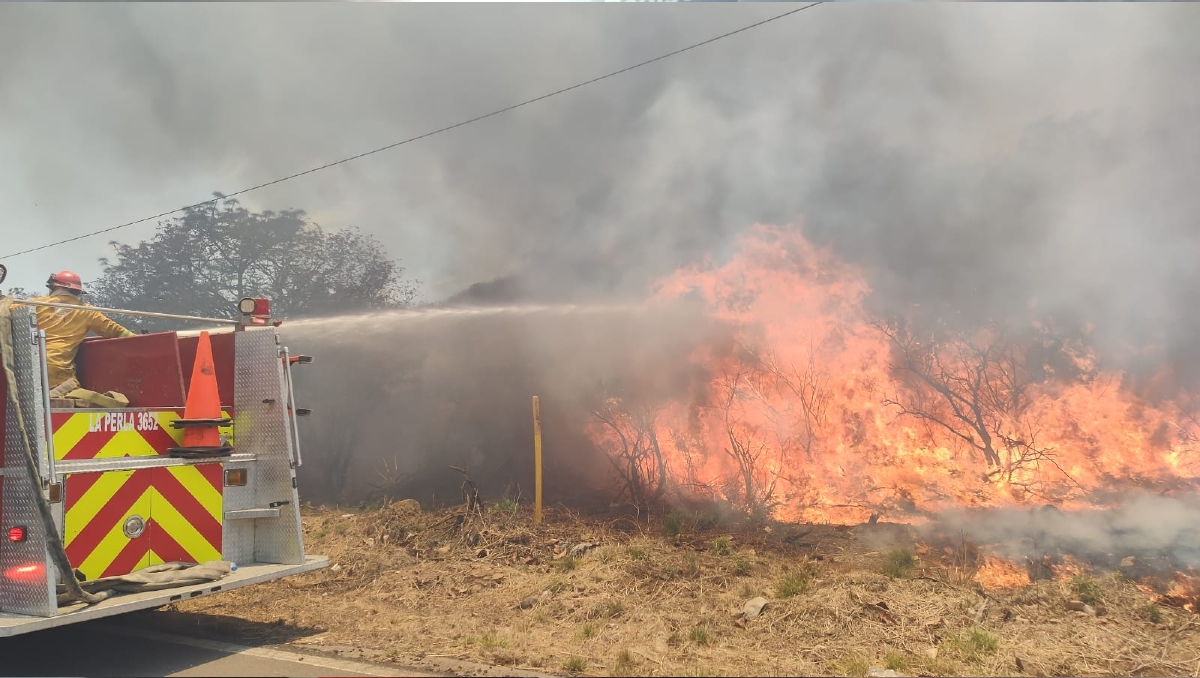Elementos estatales y municipales combaten el incendio iniciado este miércoles (Foto: Cortesía)