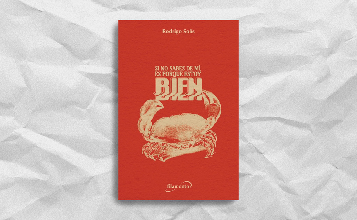 Portada de ‘Si no sabes de mí, es porque estoy bien’, de Rodrigo Solís. (Editorial Inefable)
