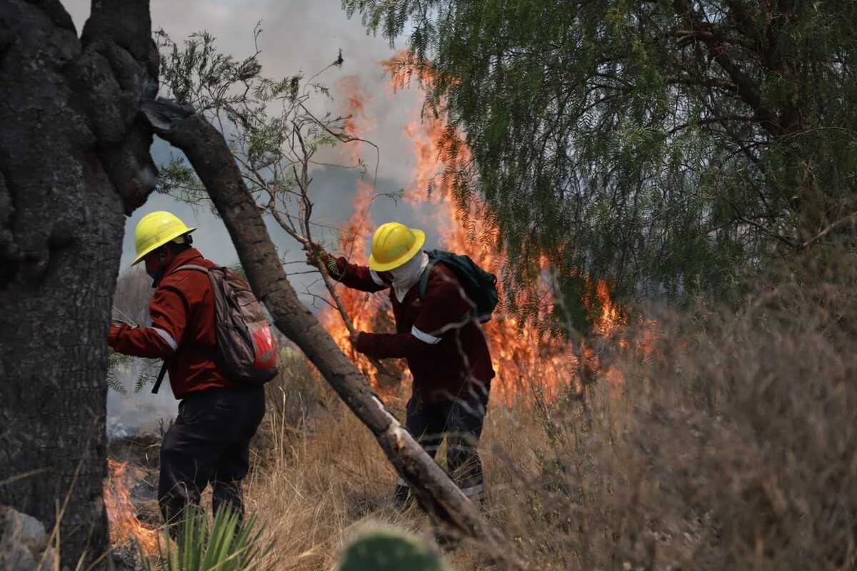Incendios activos mantienen a Hidalgo con alerta amarilla. (Jorge Sánchez)