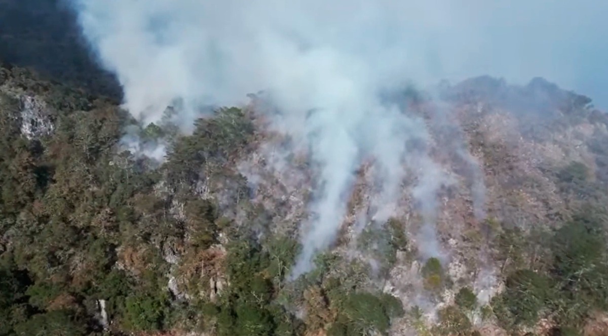 Hay al menos cinco incendios activos en distintas localidades del estado. | Foto: Especial
