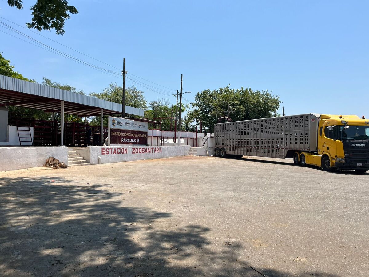 Los productores denunciaron la muerte de sus animales en la caseta zoosanitaria. | Especial