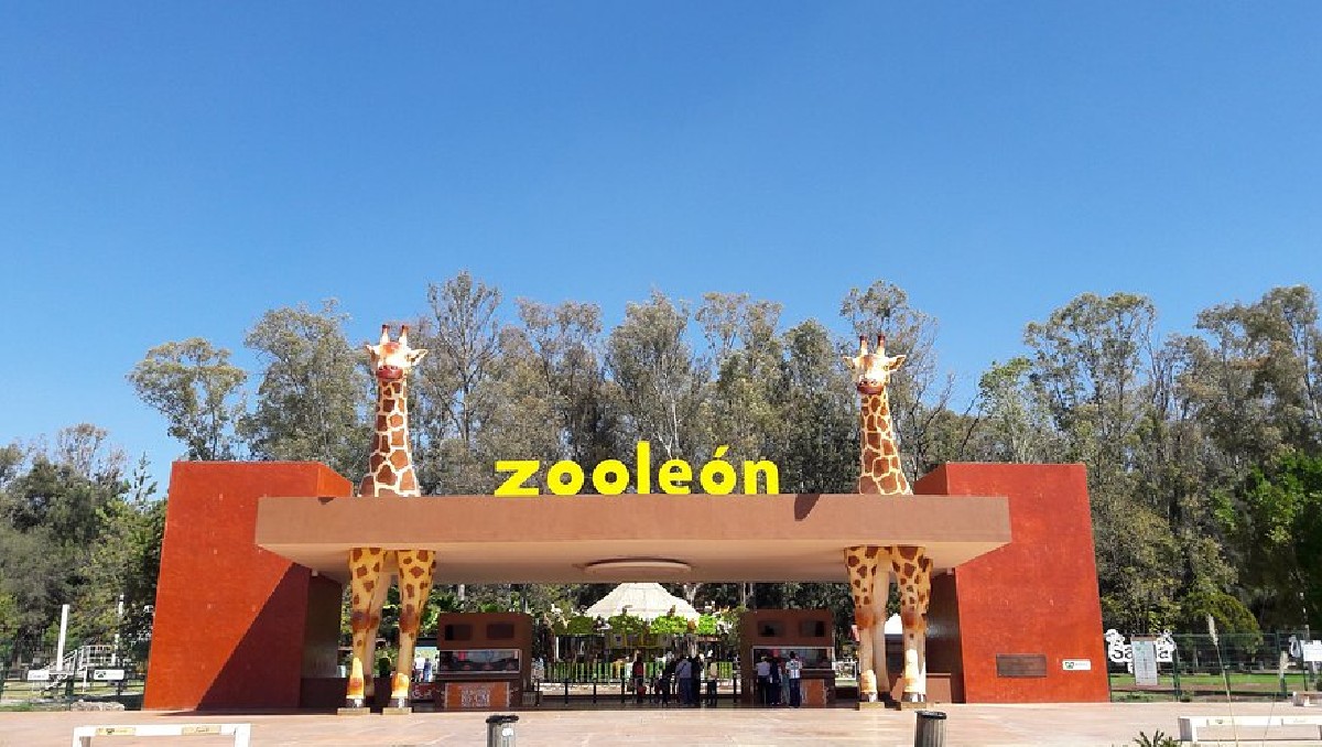 Zoológico de León presenta falta de agua; proponen solución  | Especial