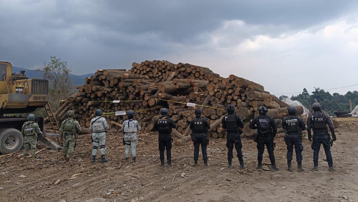 Junto con los rollos de madera aseguraron una máquina hidráulica en Coatepec Harinas. Foto: (Especial)