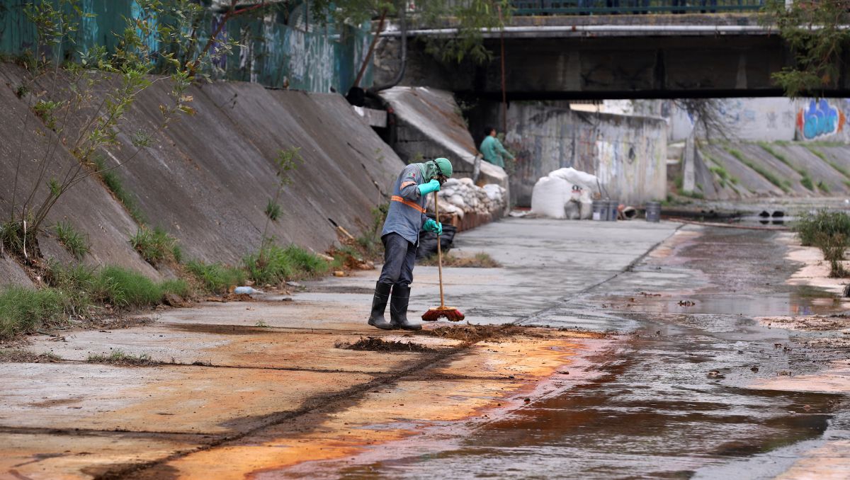 Se busca incentivar la participación ciudadana en la denuncia de delitos ambientales | Luis Guerra