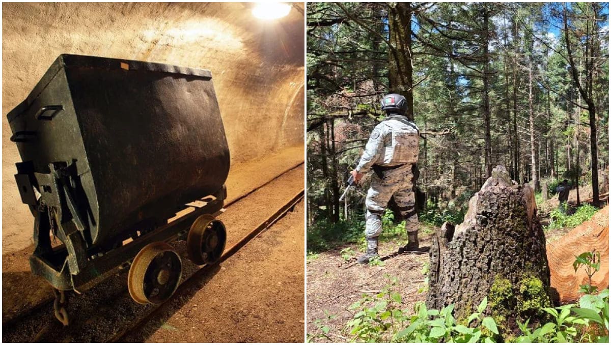 La huella de los cárteles de las drogas en el medio ambiente es cada vez más evidente | Especial