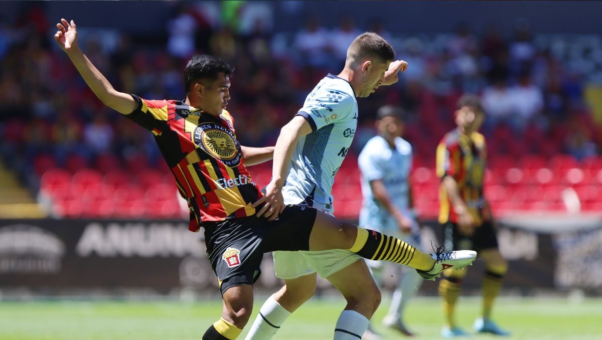 Liga de Expansión anuncia fechas y horarios de la final Leones Negros vs Jaiba Brava (Imago7)