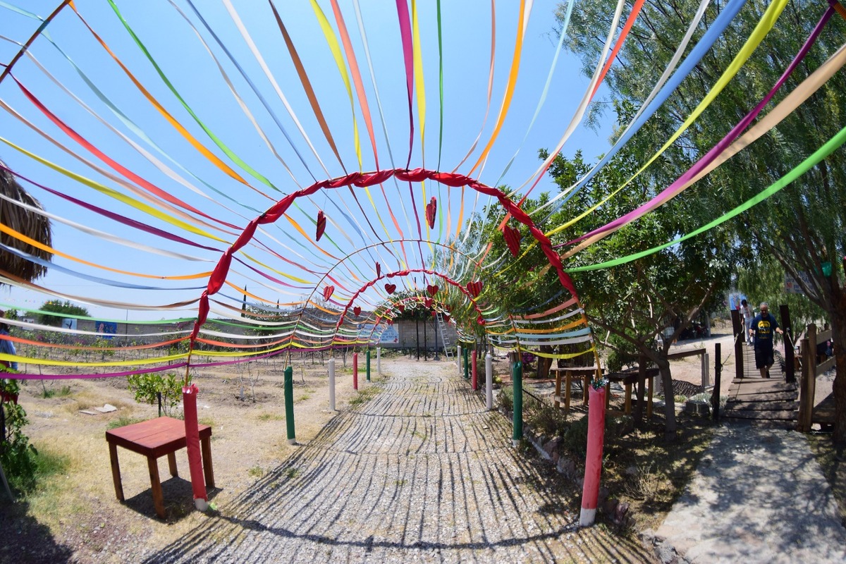 El espacio ecológico creado por profesores jubilados se encuentra en las faldas del cerro del Xicuco.