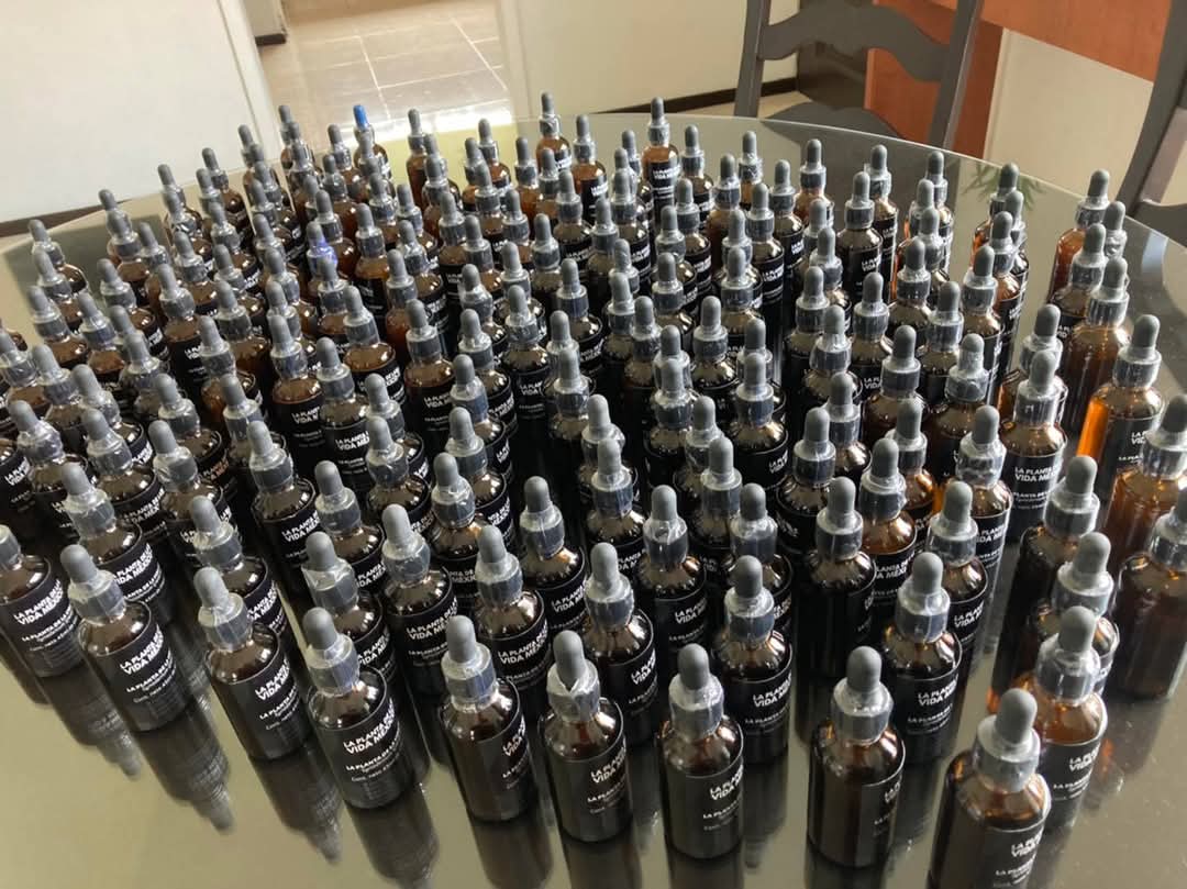 'La Planta de la Vida México' es vendida con supuestos beneficios terapéuticos para tratar enfermedades. | Foto: Especial