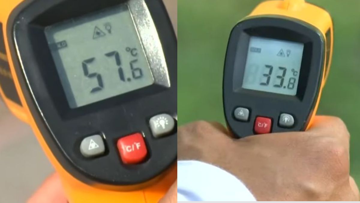 En la prueba realizada, los arboles marcaron la diferencia en la temperatura. | Especial