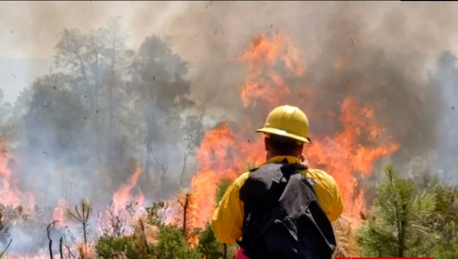 Casas Grandes: Brigadista pierde la vida en incendio forestal