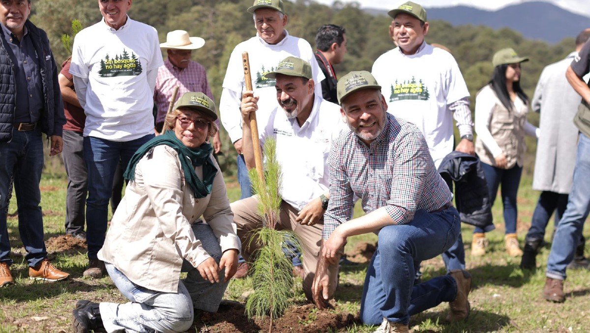 'Guardián Forestal' es el sistema que alertará a autoridades para tomar medidas inmediatas | Especial