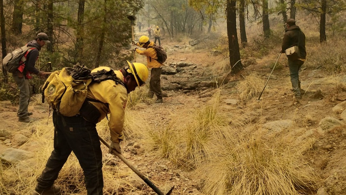 Incendio forestal en Madera, Chihuahua, afectó un aproximado de 18 mil 320 hectáreas: Conafor | Especial