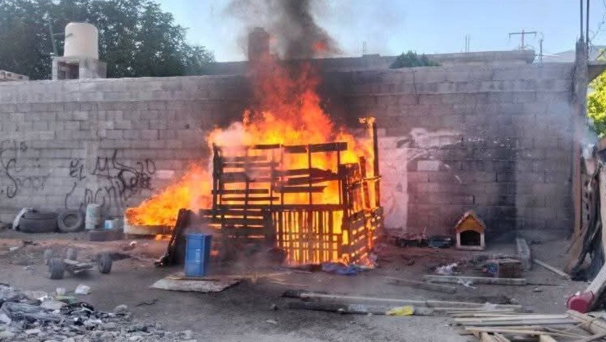 El incidente ocurrió en la colonia La Palma de Saltillo, Coahuila. | Especial