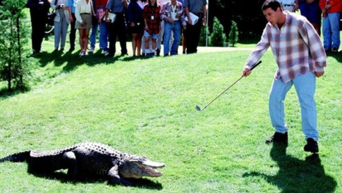 Muere el caimán Morris, “co-protagonista” en Happy Gilmore | Especial