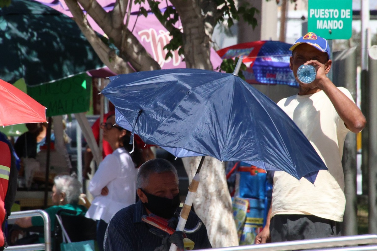 Te decimos cuál es el pronóstico del tiempo para Torreón, Saltillo, Coahuila y Durango este 16 de mayo por condición climática.| Verónica Rivera