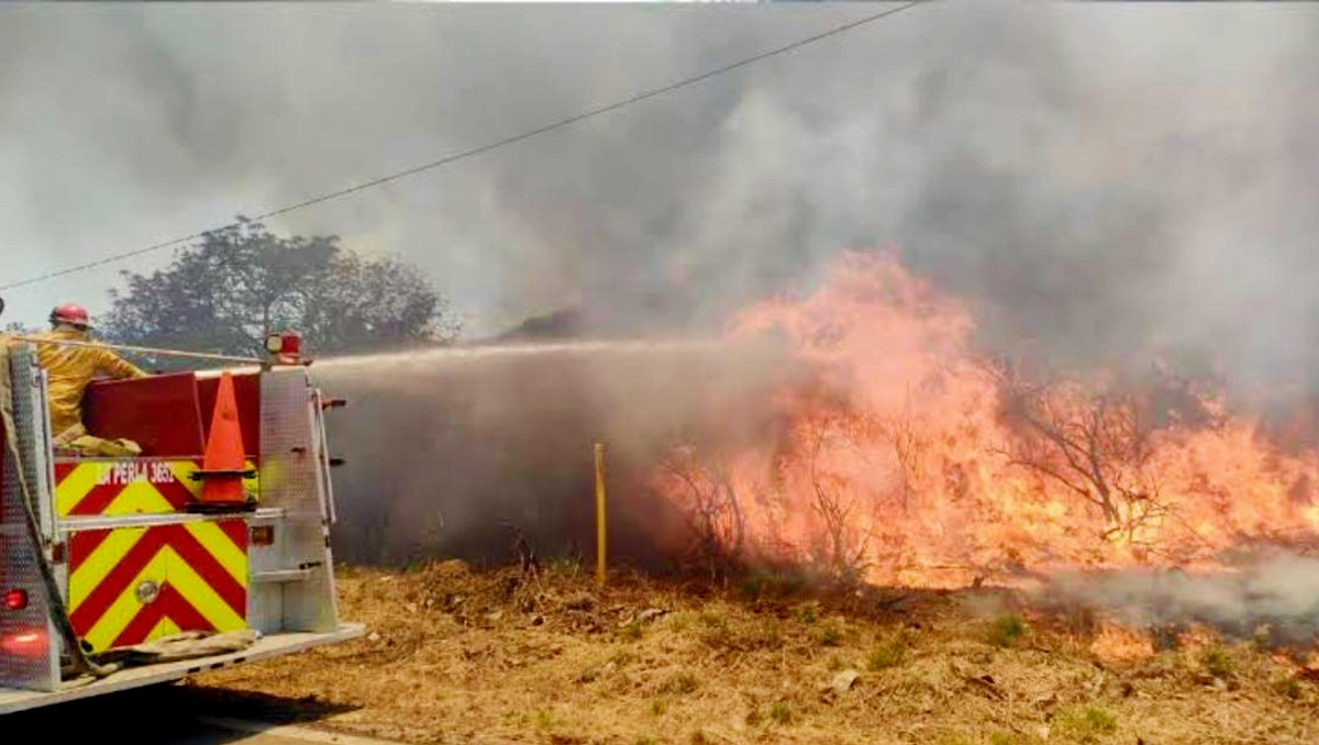 León combate temporada de incendios con más de 300 bomberos activos | Especial