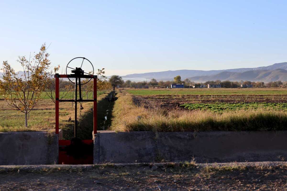 De no tener lluvias significativas, se corre riesgo de que el ciclo agrícola 2026 se suspenda.| Rolando Riestra