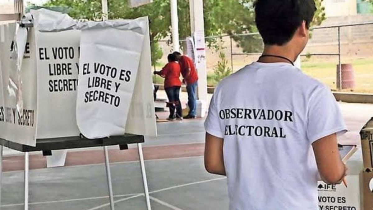 En NL se recibieron un total de 11 mil 060 solicitudes para participar como observadores electorales. | Especial