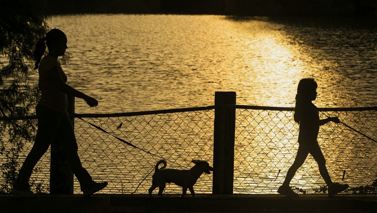 La pérdida de una mascota puede desencadenar diversas emociones en las personas | Cuartoscuro
