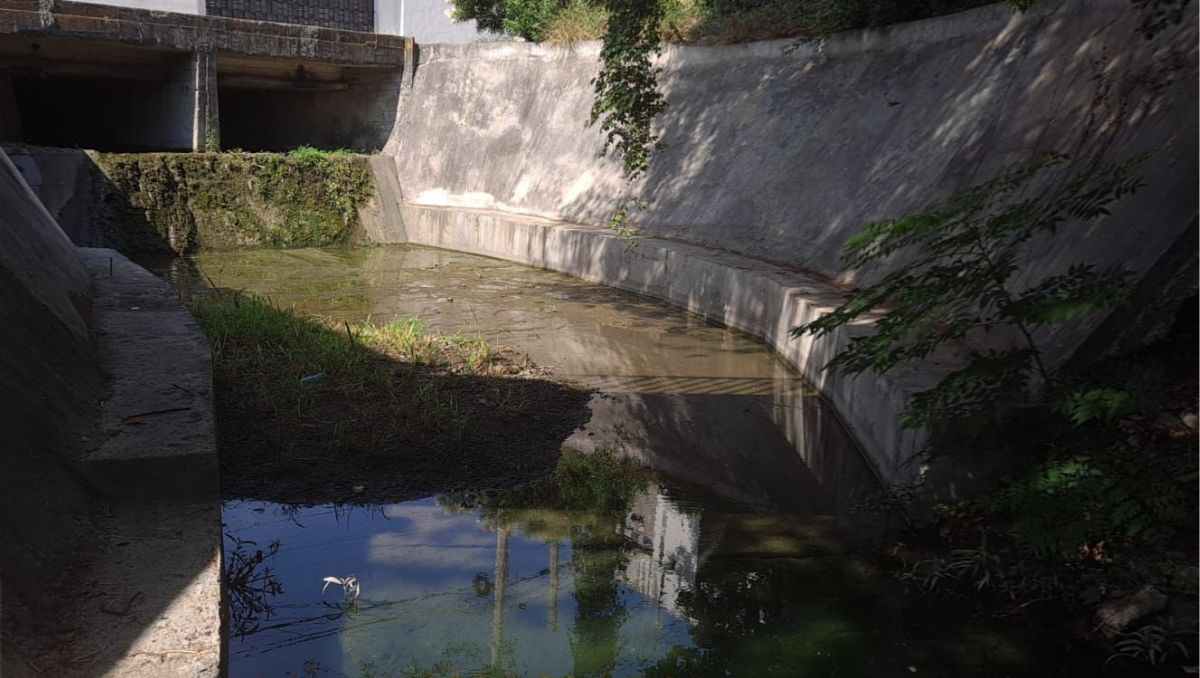 La revisión se llevó a cabo en la colonia Santa Engracia, específicamente en el tramo de las calles Río San Marcos y Pinos. | Especial
