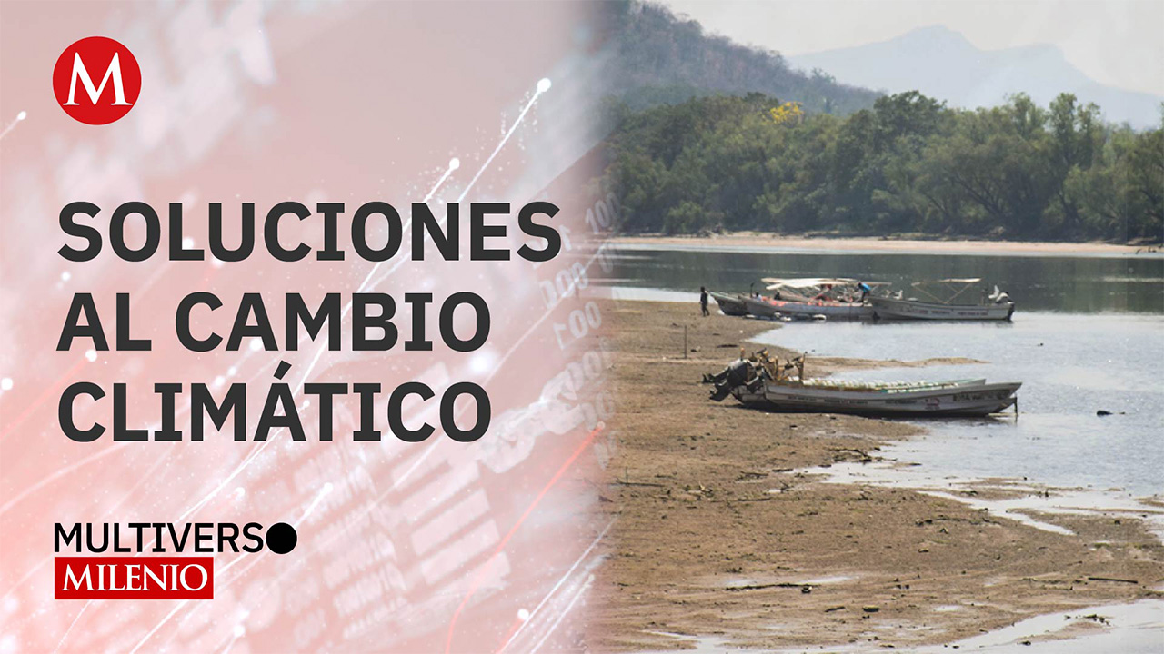 Soluciones al cambio climático | Multiverso Milenio