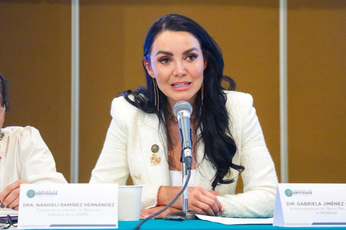 Vicecoordinadora de Morena en la Cámara de Diputados, Gabriela Jiménez | Especial