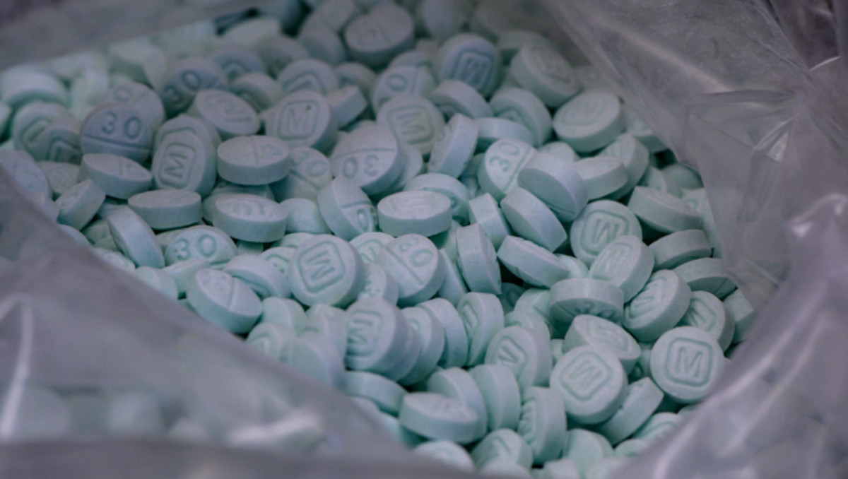 Expertos han identificado una reducción en la pureza del fentanilo que entra a EU | NFLIS