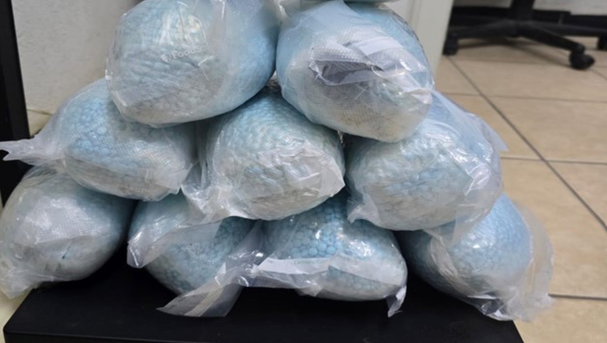 Gobierno de México reporta decomiso de fentanilo y drogas en frontera norte | Especial