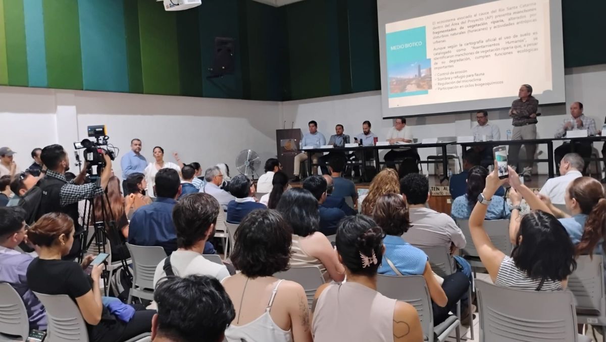 Entre las omisiones que afirman tiene la MIA del proyecto no se enlistan todas las especies presentes en la zona. Sandra González