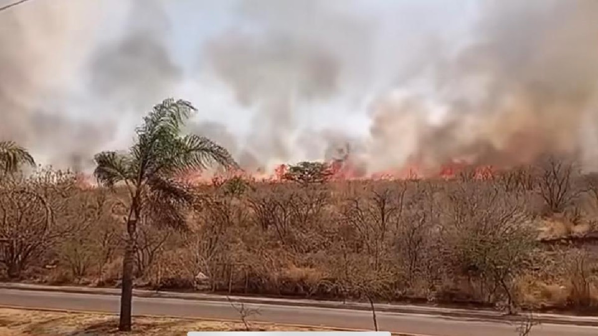 El incendio generó una columna de humo visible desde diversos puntos de la ciudad, lo que alarmó a vecinos y automovilistas.
