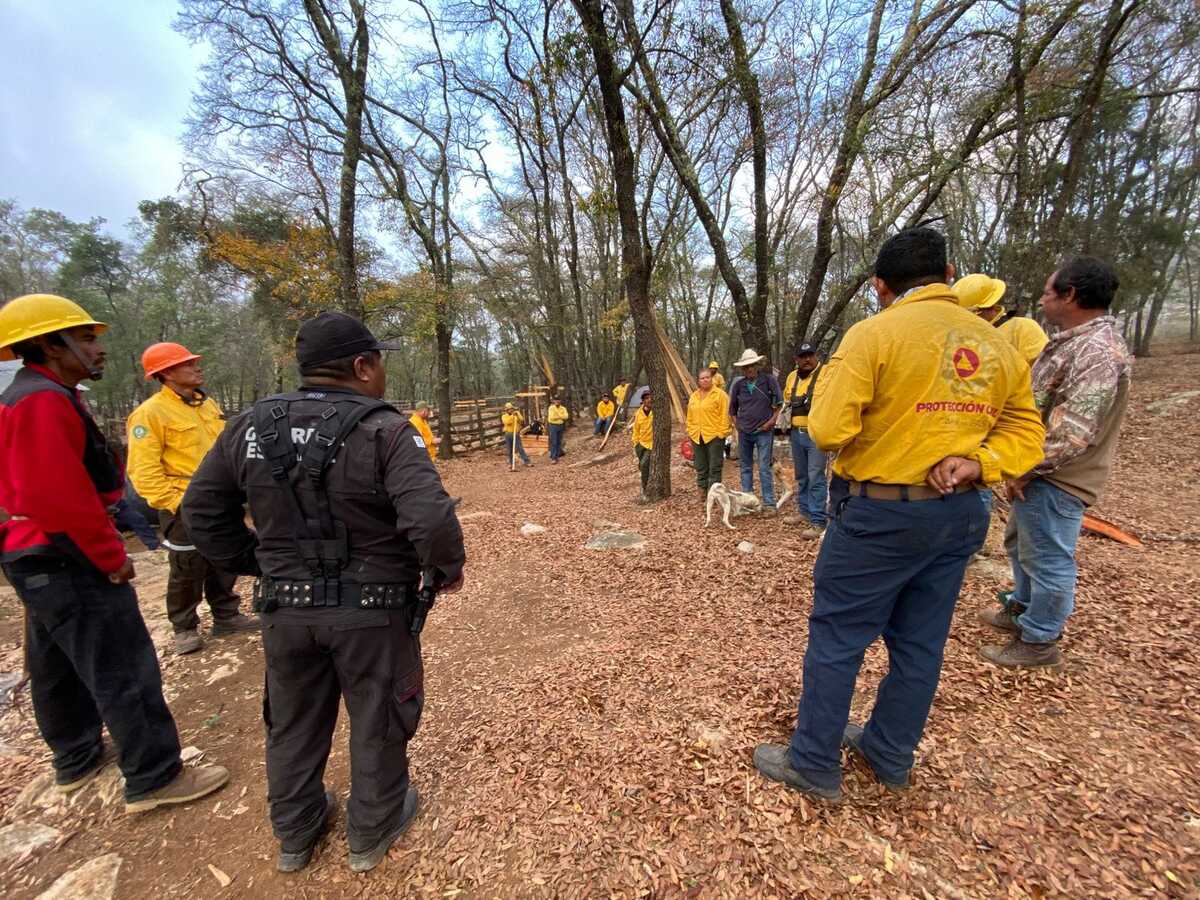 Activan Plan Tamaulipas por incendio en la Biósfera El Cielo