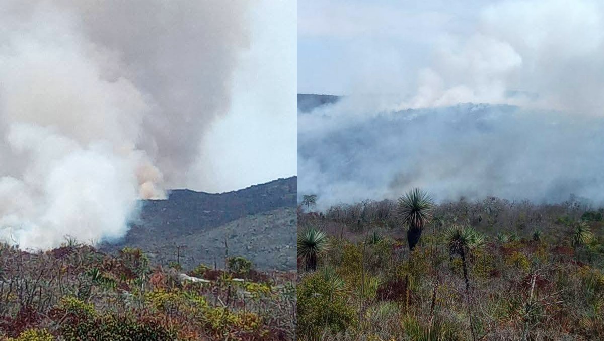 Incendio forestal en Jaumave | Protección Civil Tamaulipas