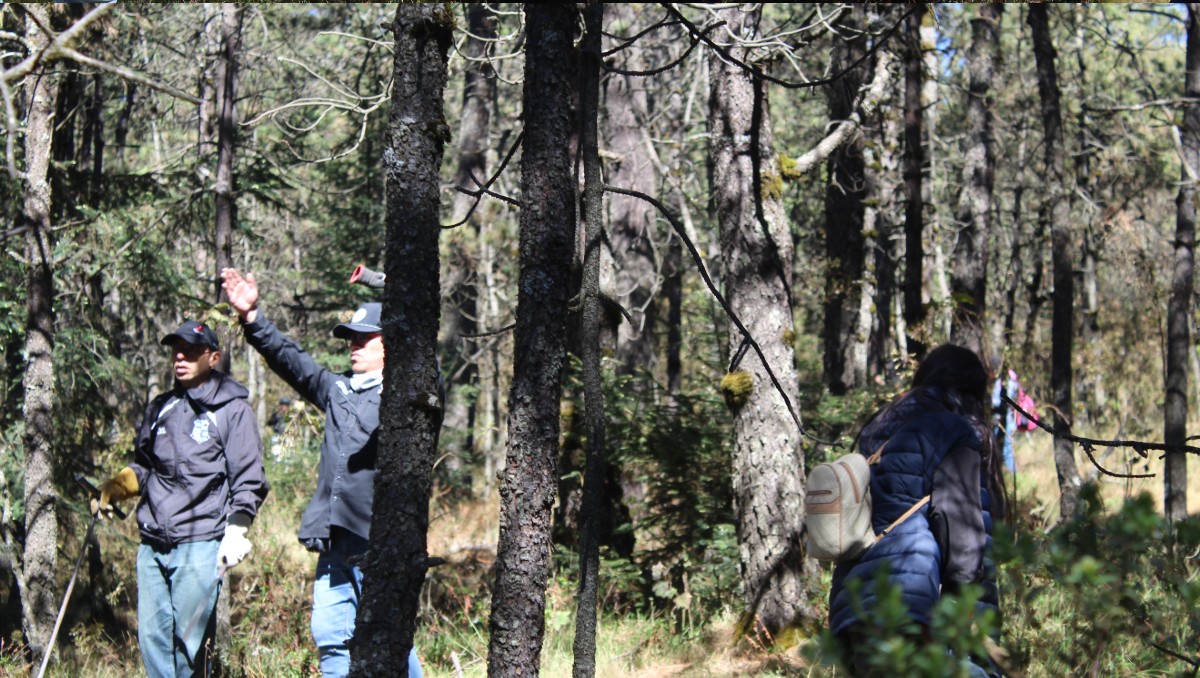 Hallan otros tres restos humanos en el Mirador Topilejo en CdMx: "es una zona con terreno complicado"
