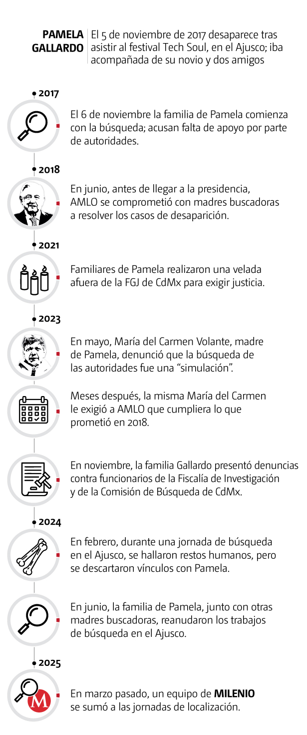 Línea del tiempo caso Pamela Gallardo