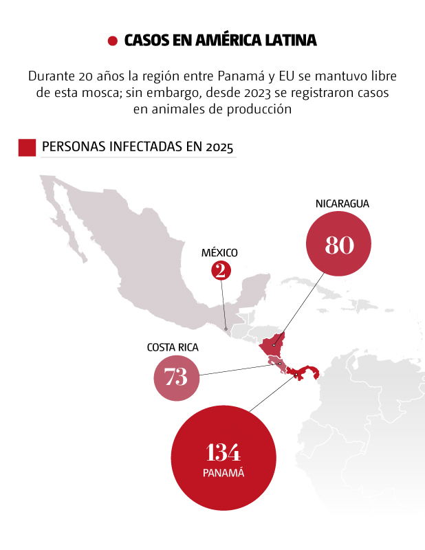 Casos de gusano barrenador en América Latina. | Óscar Ávila